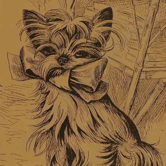 WAIN, Louis (1860-1939) - Snoosems Want His Ma