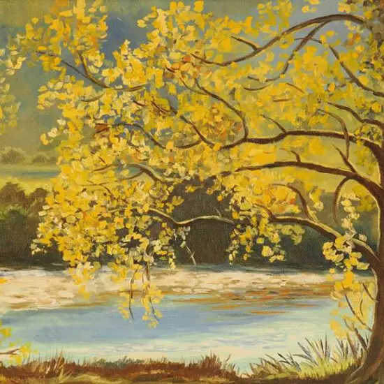 TURNER, Rose - Autumn at Pelorus River, Canvastown, 1981
