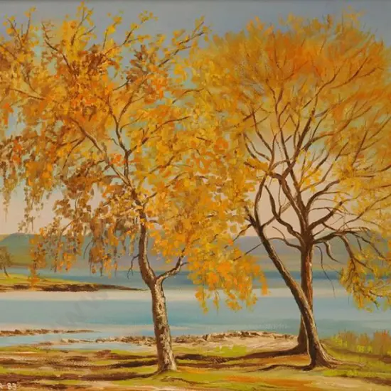 TURNER, Rose - Autumn Gold, Mission Bay, Lake Taupo 1983