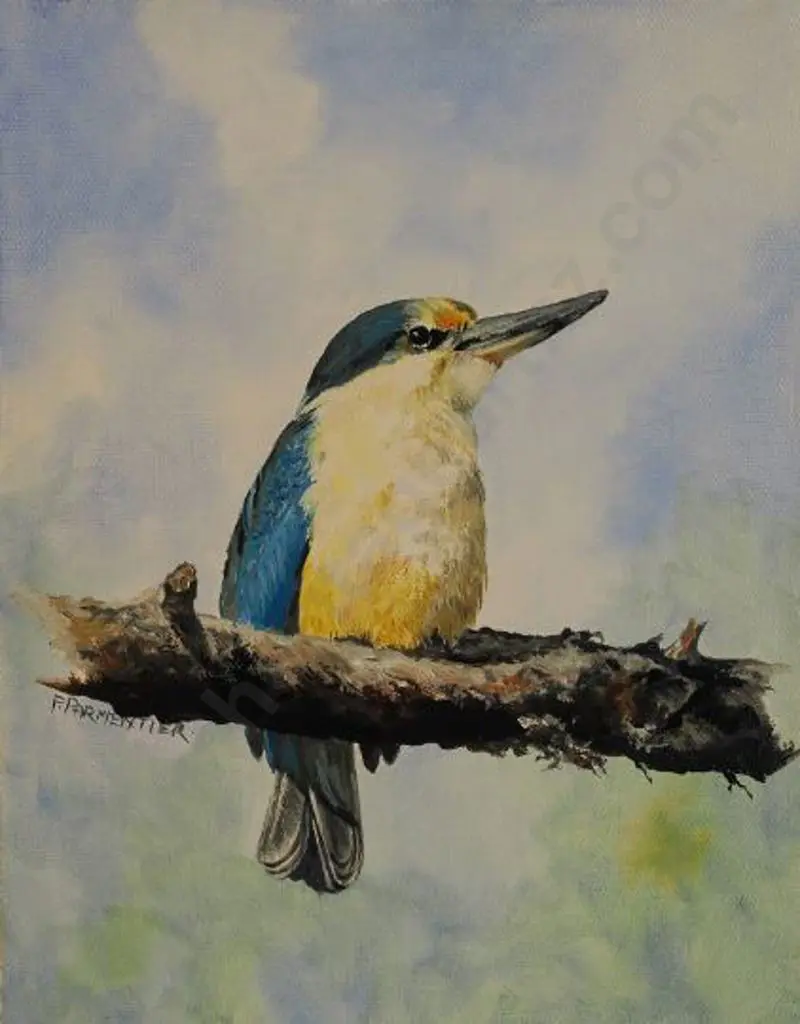 PARMENTIER, Fern - Kingfisher Image 1++