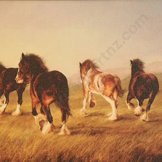 UNKNOWN Artist - Horses Running Wild - possibly Waiouru Area
