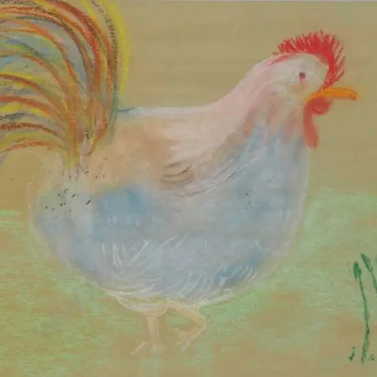 BELL, Pearl - Multicoloured Cock