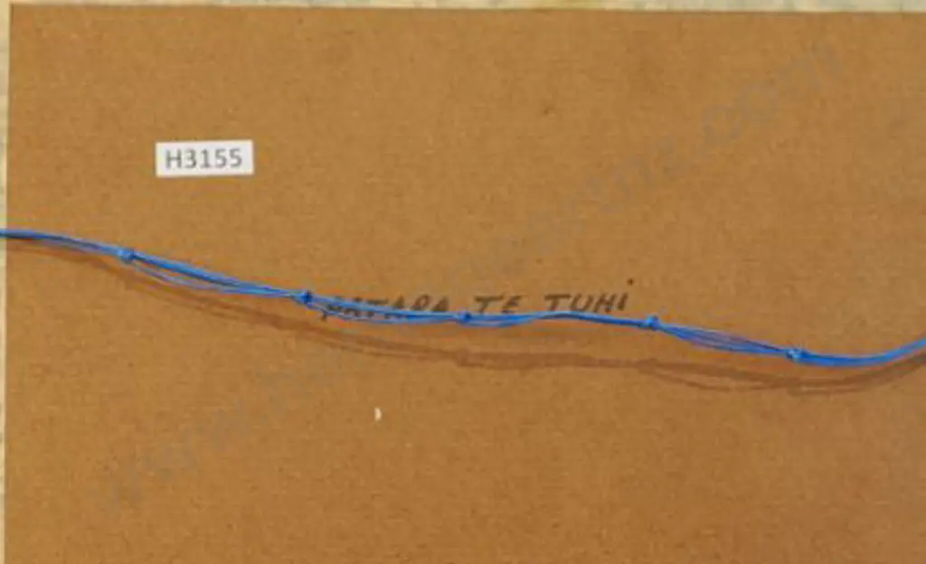 GOLDIE, Charles Frederick (1870-1947) - Patarfa Te Tuhi Image 1++