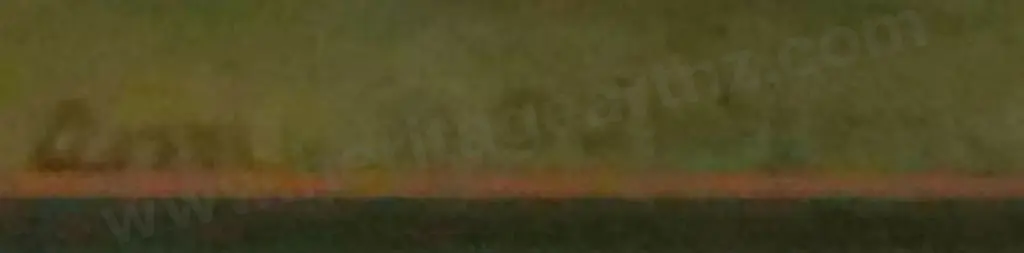 DAWSON, Amy B. (1879-1971) - Acacia Lodge, Cornwall Park - 1950s Image 1++