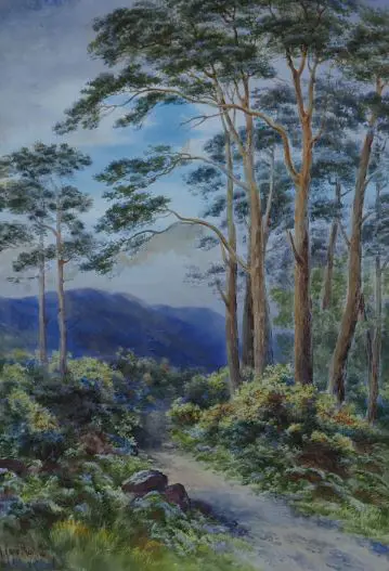 ROLLETT, Hilda Carr (1873-1970) - Woodland track with Hills and Trees Image 1++