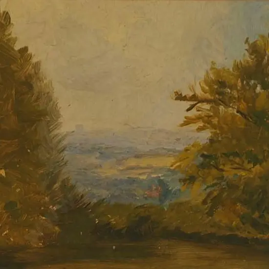 UNKNOWN Artist - Peering Through The Trees From On High - 19th Century