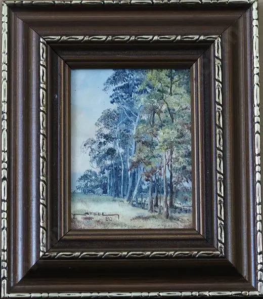 STEEL - Australian Gum Trees Image 1++