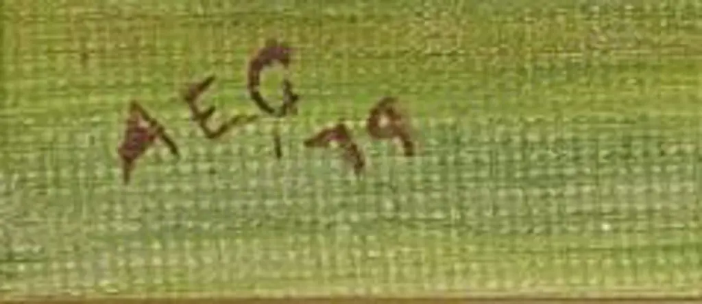 A.E.G. - Stream with Flowers Image 1++