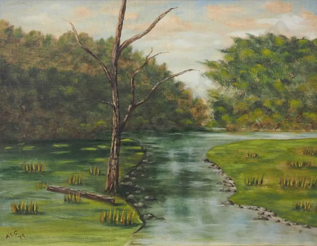 A.E.G. - Stream with Flowers Image 1++