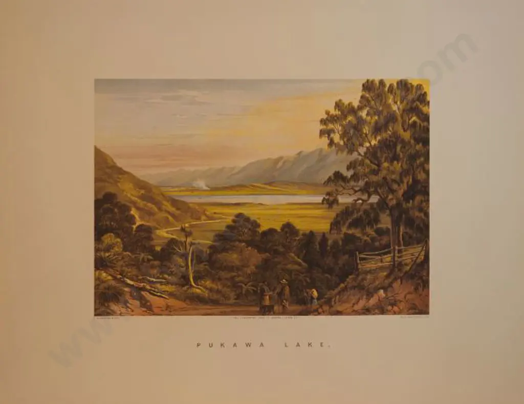 BARRAUD, Charles Decimus (1822-1897) - Pukawa Lake - New Zealand Graphic & Descriptive (1877) Image 1++