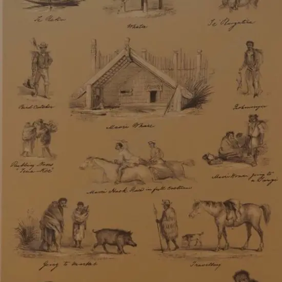 BARRAUD, Charles Decimus (1822-1897) - Scenes from Maori Life - New Zealand Graphic & Descriptive (1877)
