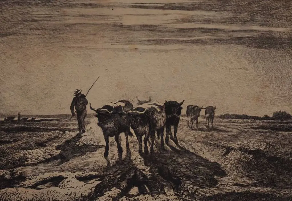 UNKNOWN artist - Drover and Cattle Image 1++