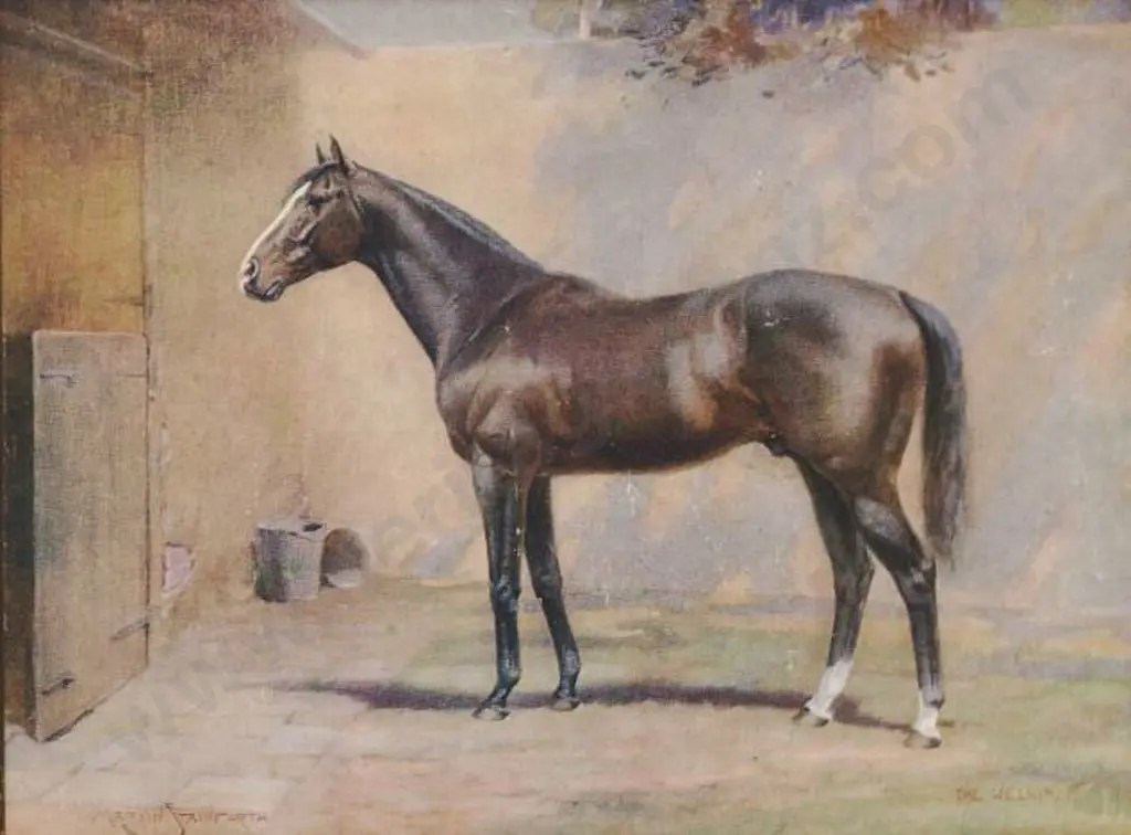 STAINFORTH, Martin (1866-1957) - Standing Horse by Stable Door Image 1++