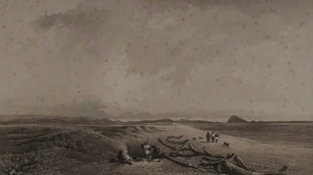 BREES, Samuel Charles (1810-1865) - Sea Coast Near the River Ohau Image 1++