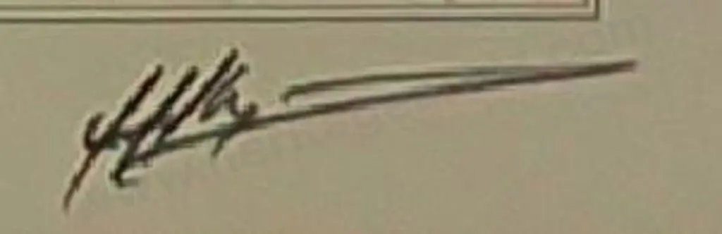 THOMPSON, Timothy (1951-) - Stars and Stripes Defeats New Zealand 1998 Image 1++