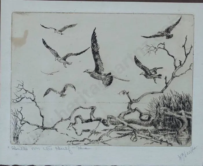 LOCKE, Walter Ronald (1883-1949) - Seabirds Image 1++