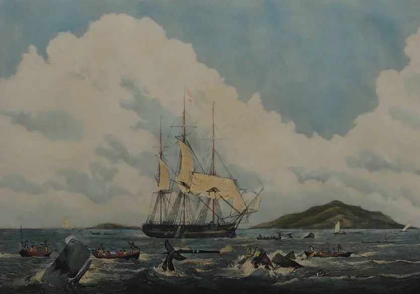 HUGGINS, William John (1785-1841) - South Sea Whale Fishery - A Boat Destroyed by a Wounded Whale Image 1++