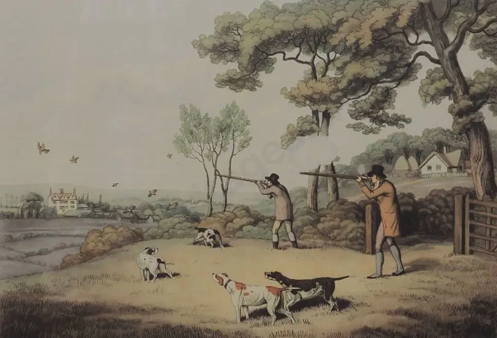 HOWITT, Samuel (1756-1822) - Partridge Shooting 1 Image 1++