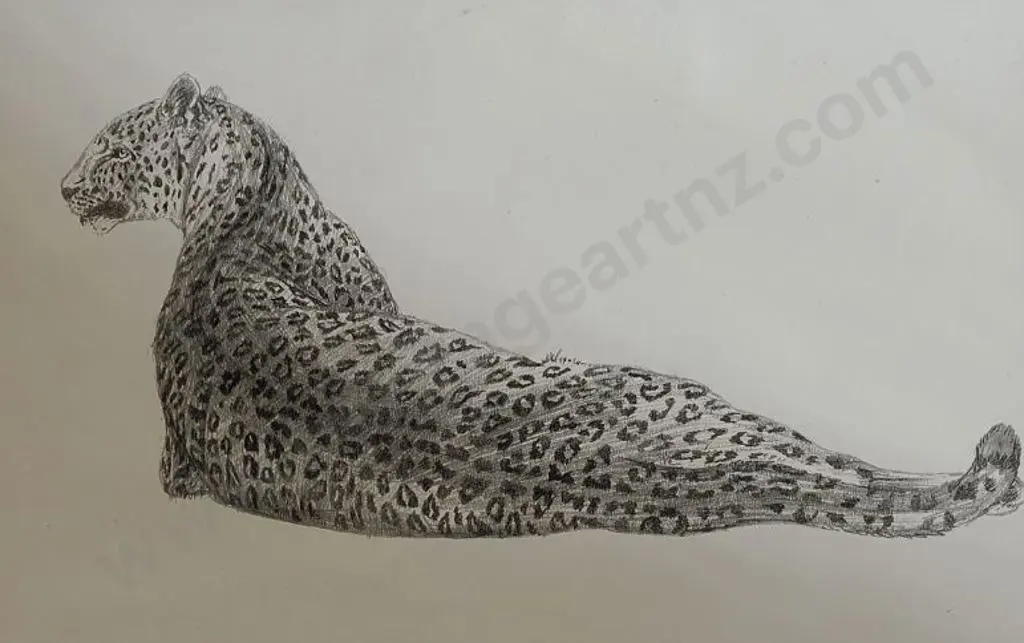 UNKNOWN Artist - Leopard Image 1++