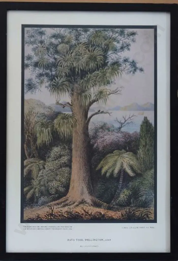 GOLD, Lt. Gen. Charles Emilius (1809-1871) - Rata Tree, Wellington, 1849 Image 1++
