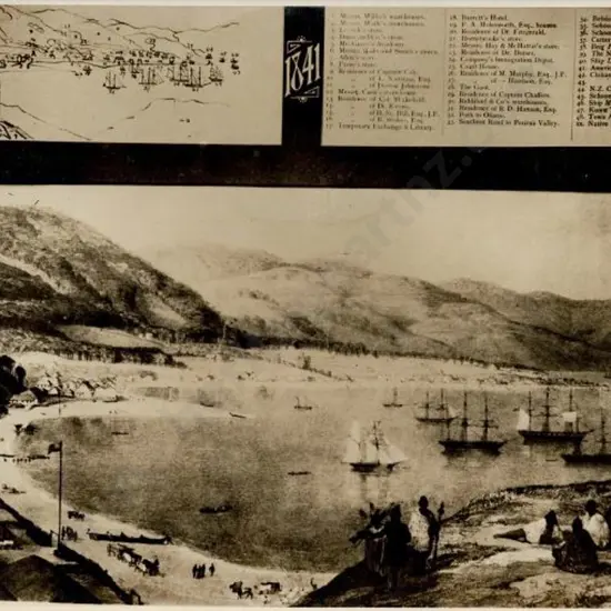 UNKNOWN - Wellington Harbour, c. 1841