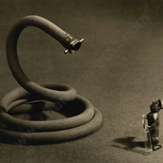 UNKNOWN - Winding Hose Staring Down at Male Figure (whimsical)