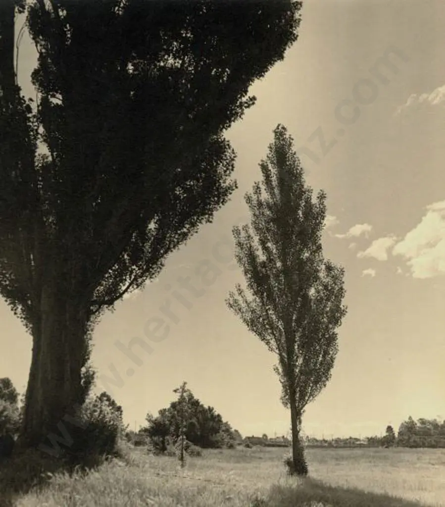 UNKNOWN - Field on Outskirts of Village Image 1++