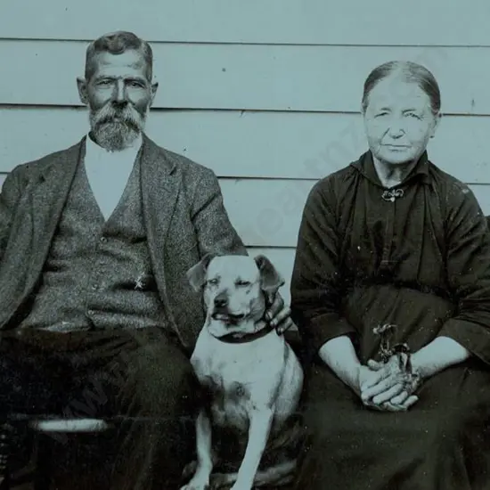 UNKNOWN - Elderly Couple & Family Dog - late 19th Century