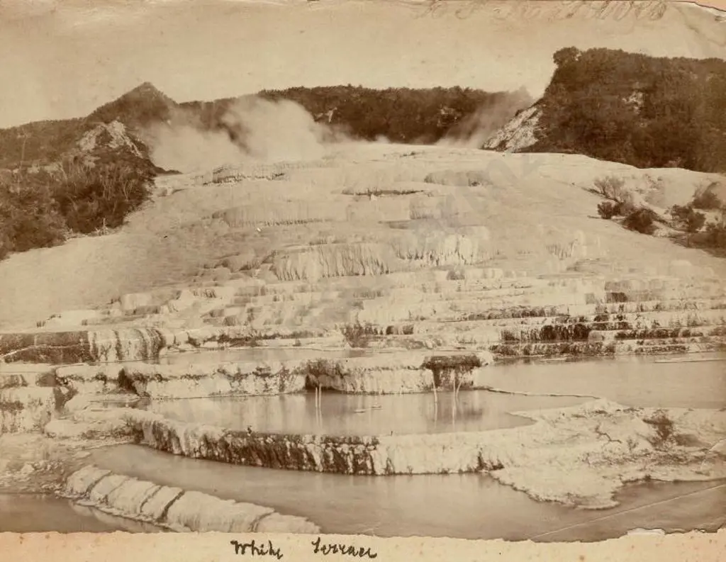 UNKNOWN - White Terrace (small tear) Image 1++