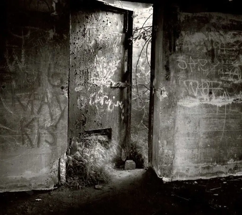 UNKNOWN - Graffiti Image 1++