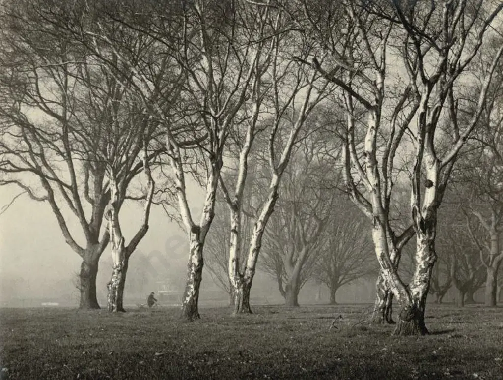 CASBOLT, Frederick Lennard (1896-1987) - Cycling Through the Park Image 1++