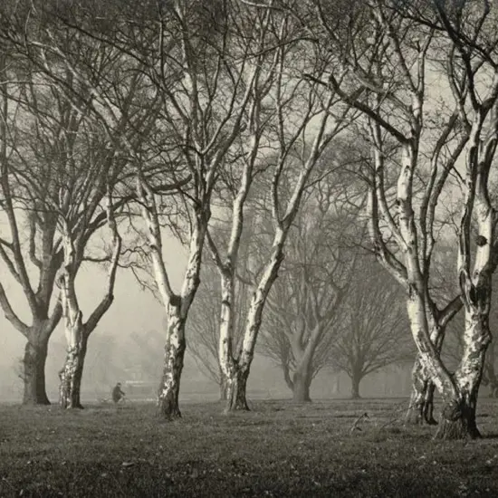 CASBOLT, Frederick Lennard (1896-1987) - Cycling Through the Park