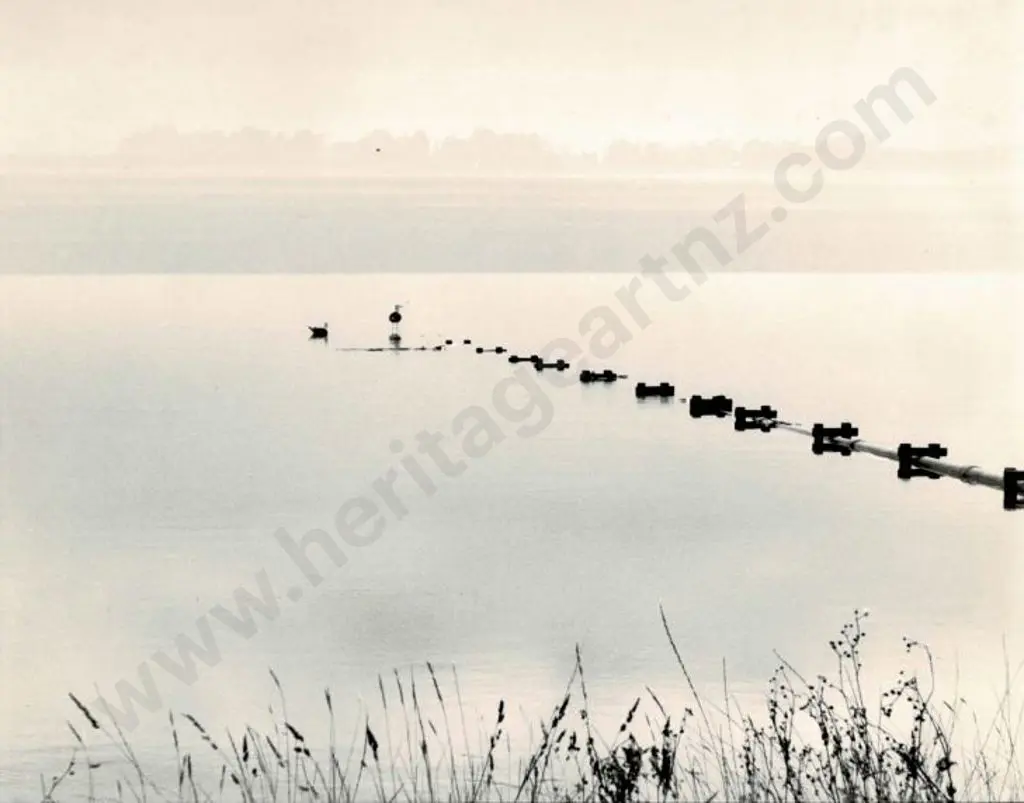 CASBOLT, Frederick Lennard (1896-1987) - Birds in the shallows Image 1++