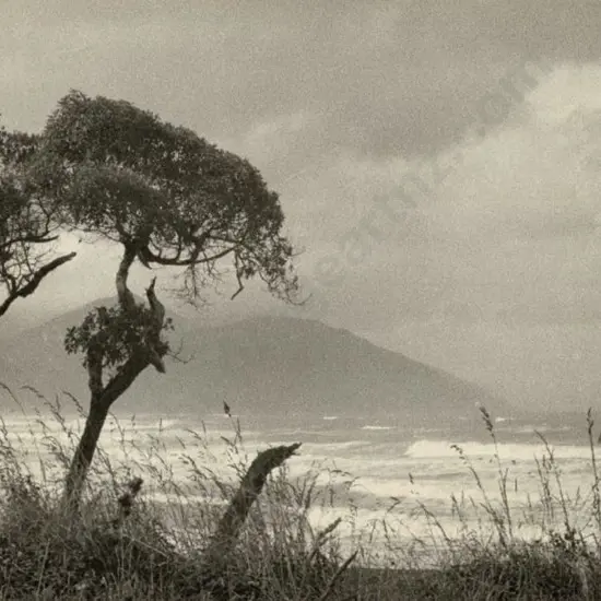CASBOLT, Frederick Lennard (1896-1987) - Rough Seas