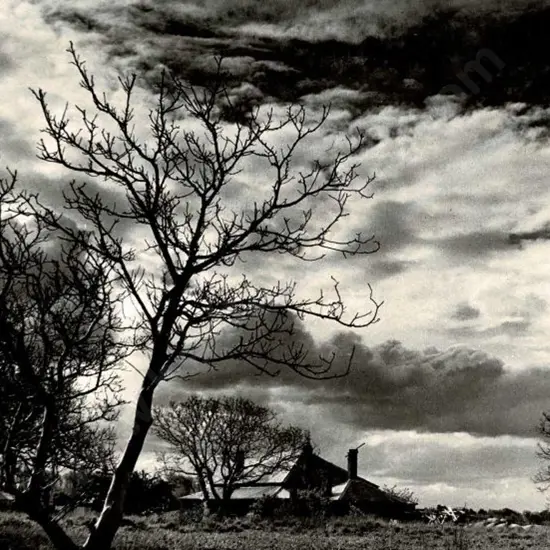 CASBOLT, Frederick Lennard (1896-1987) - House in the Country