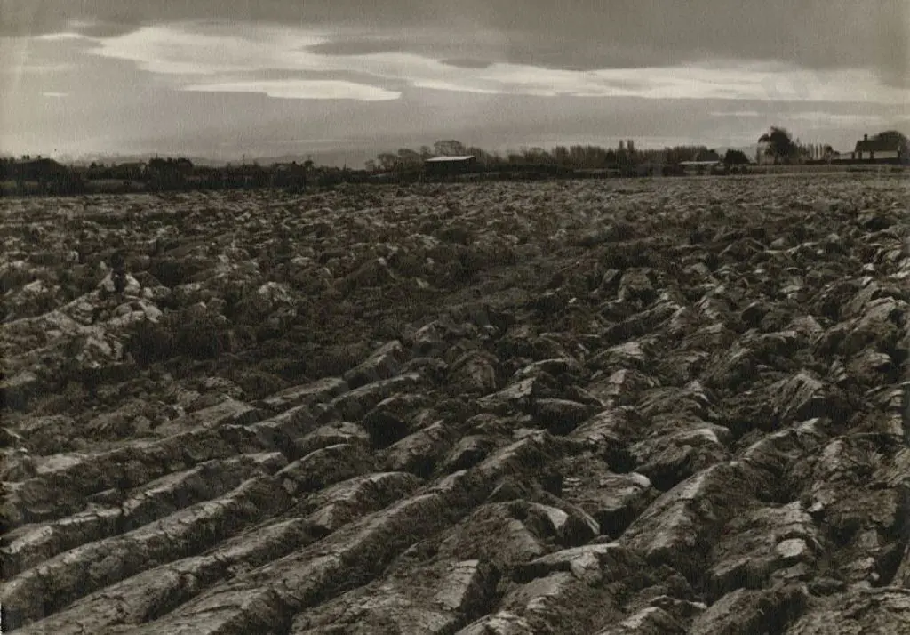 CASBOLT, Frederick Lennard (1896-1987) - The Good Earth Image 1++