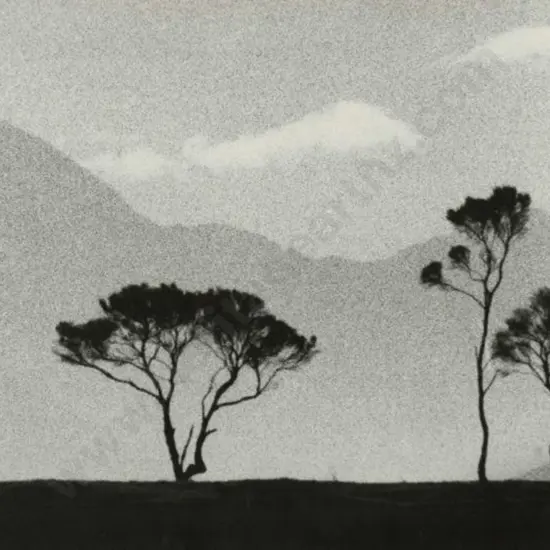CASBOLT, Frederick Lennard (1896-1987) - Three Trees