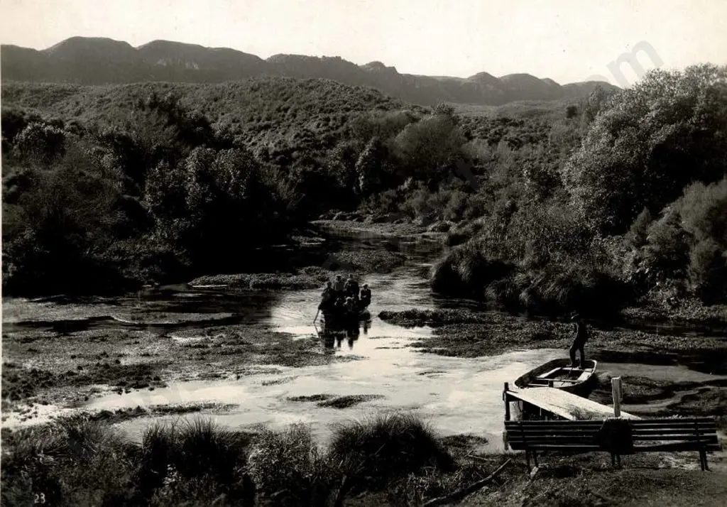 NZ GOVT PUBLICITY (Early 20th Cent.) - Landing at Hamurama Springs, Rotorua, c.1910 Image 1++