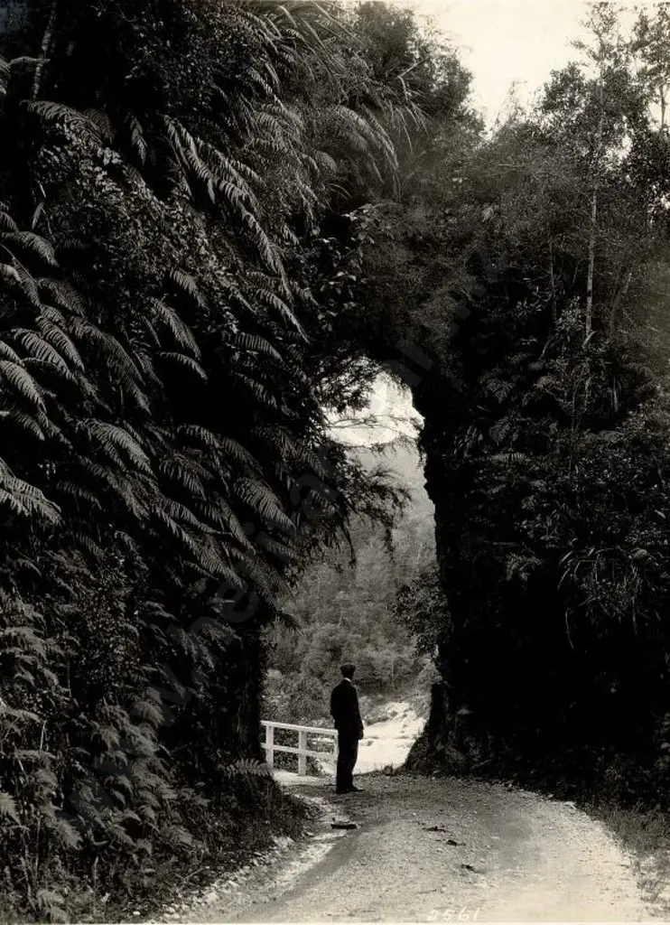 NZ GOVT PUBLICITY (Early 20th Cent.) - Scenic Drive, NZ, c.1910 Image 1++