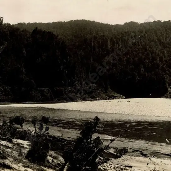 NZ GOVT PUBLICITY (Early 20th Cent.) - Buller Gorge, c.1910
