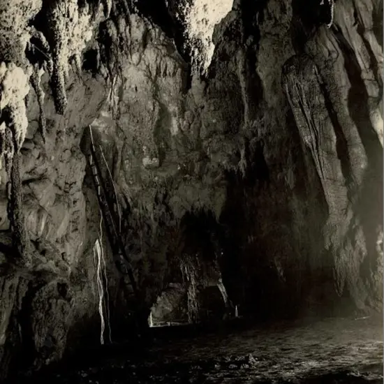 NZ GOVT PUBLICITY (Early 20th Cent.) - Cathedral, Waitomo Caves, c.1910