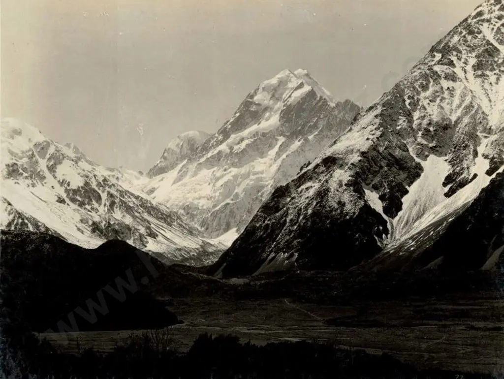 NZ GOVT PUBLICITY (Early 20th Cent.) - Mount Cook, c.1910 Image 1++
