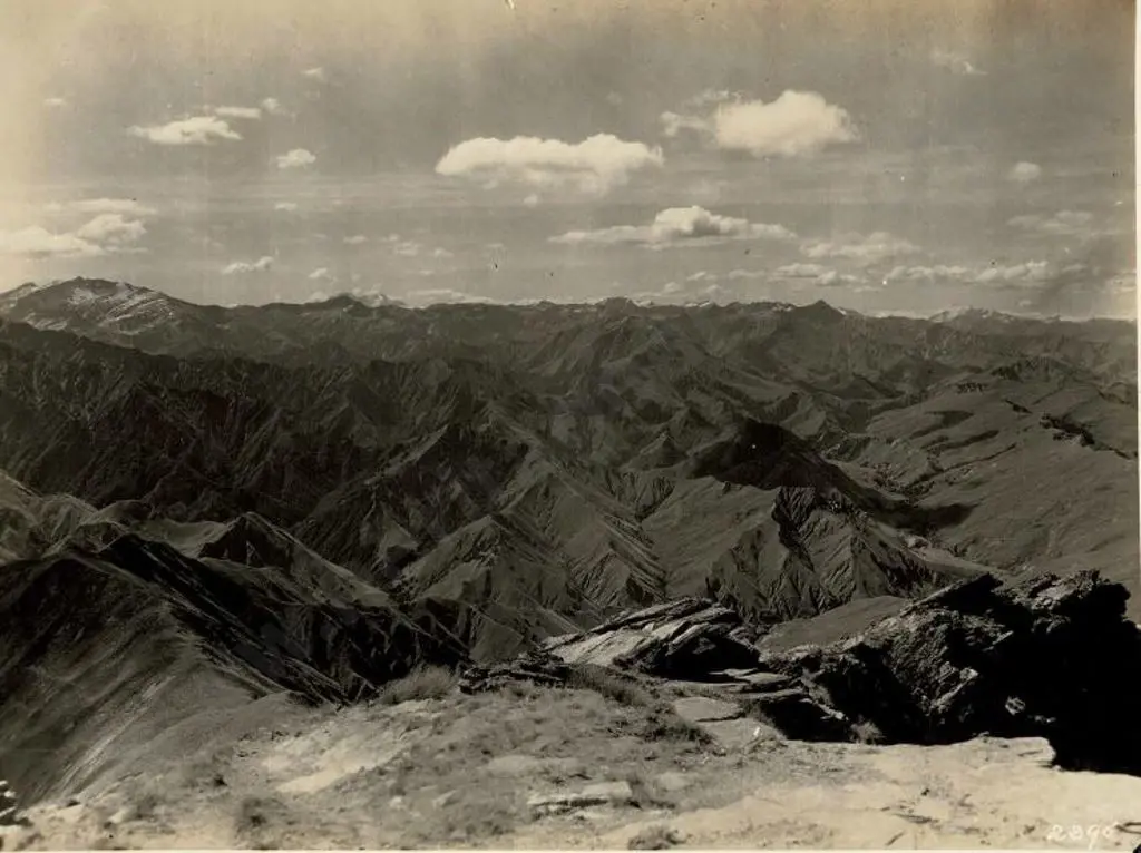 NZ GOVT PUBLICITY (Early 20th Cent.) - View From the Top of Ben Lomond, c.1910 Image 1++