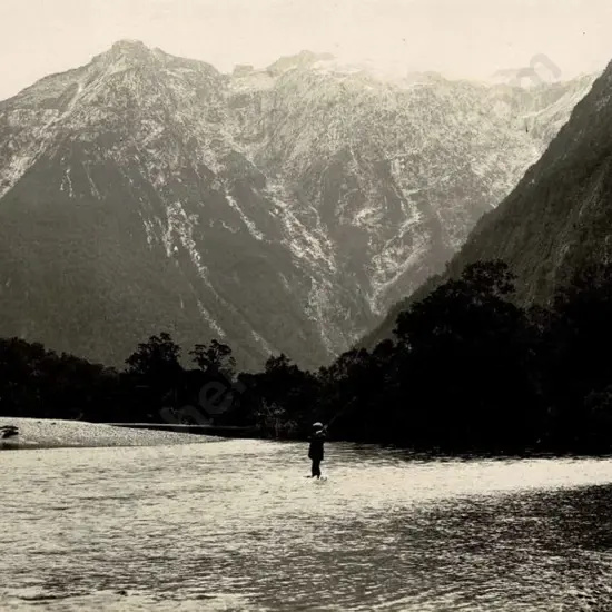 NZ GOVT PUBLICITY (Early 20th Cent.) - Trout Fishing in Arthur River, Milford Sound, c.1910