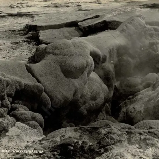 NZ GOVT PUBLICITY (Early 20th Cent.) - Sulfur Hole Whakarewarewa, c.1910