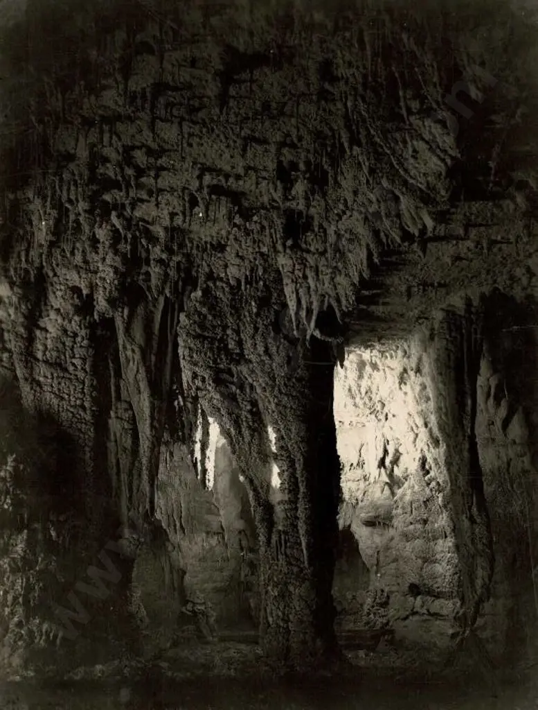 NZ GOVT PUBLICITY (Early 20th Cent.) - Organ Gallery, Waitomo Caves, c.1910 Image 1++