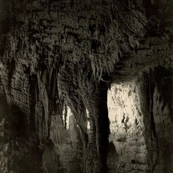 NZ GOVT PUBLICITY (Early 20th Cent.) - Organ Gallery, Waitomo Caves, c.1910