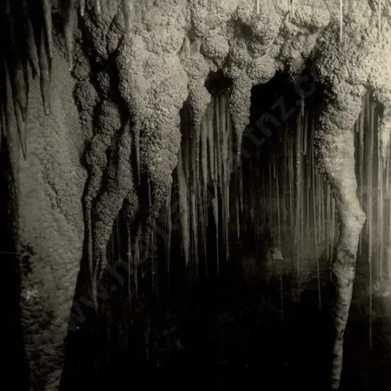 NZ GOVT PUBLICITY (Early 20th Cent.) - Stalactites, Waitomo Caves, c.1910