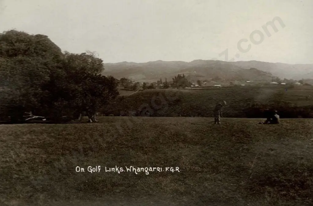 RADCLIFFE, Frederick George (1863-1923) - On Golf Links Whangarei, c.1900 Image 1++