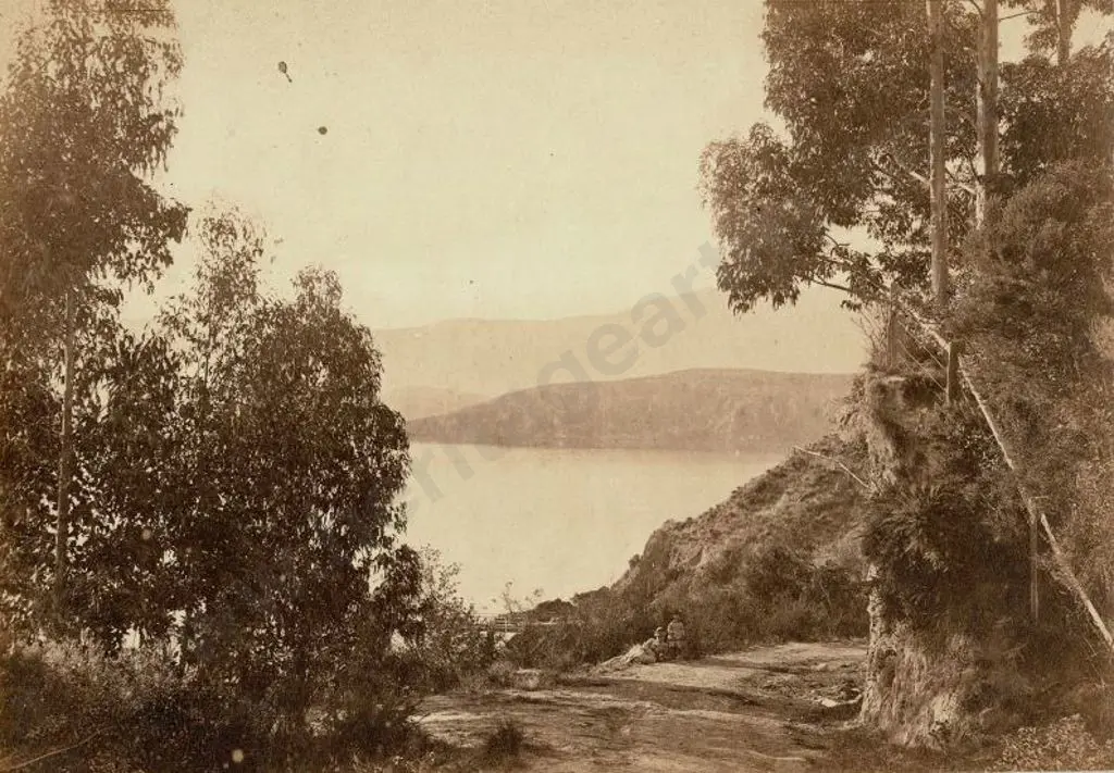 WHEELER, E. & SON - Christchurch (1864-1914) - Lake Scene with Two Travellers, c. 1880 Image 1++